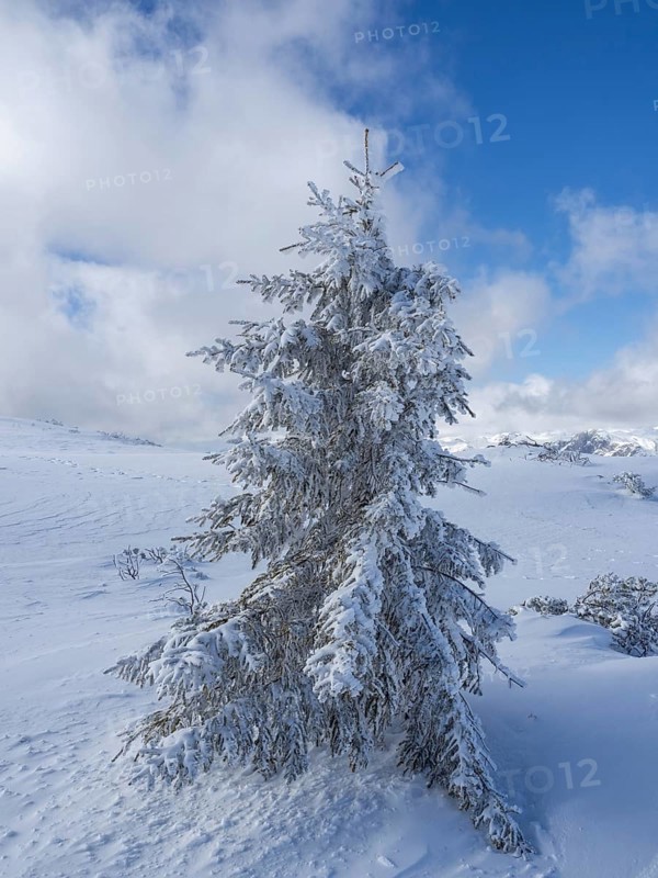 Blue sky over winter landscape