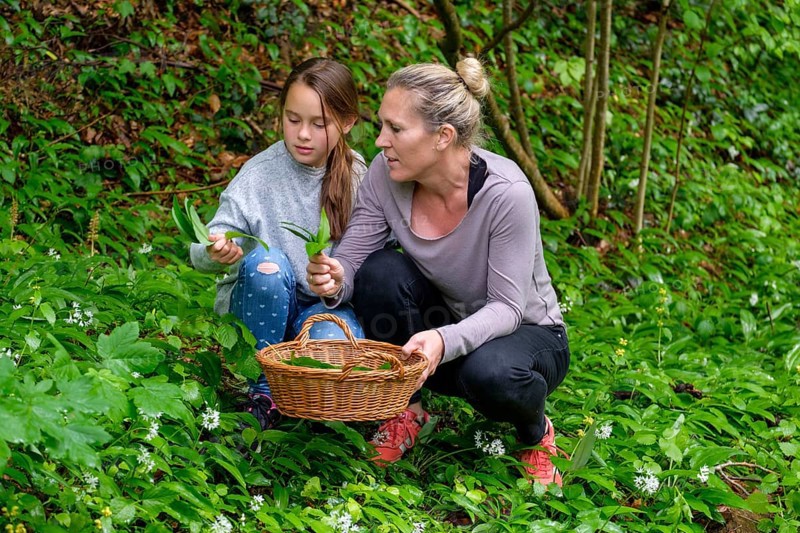 Mother and daughter picking ramsons