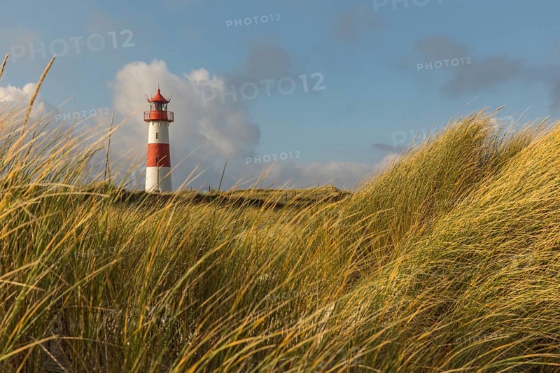 List East lighthouse in the dunes