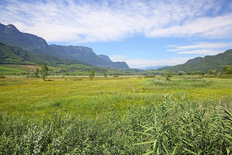 Kalterer See