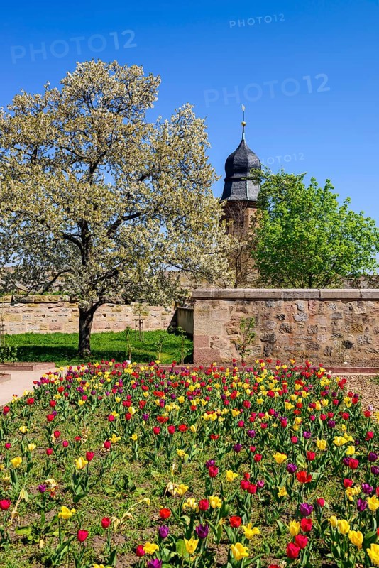 Garden in the castle courtyard in front of the tower of the Margrave's Church