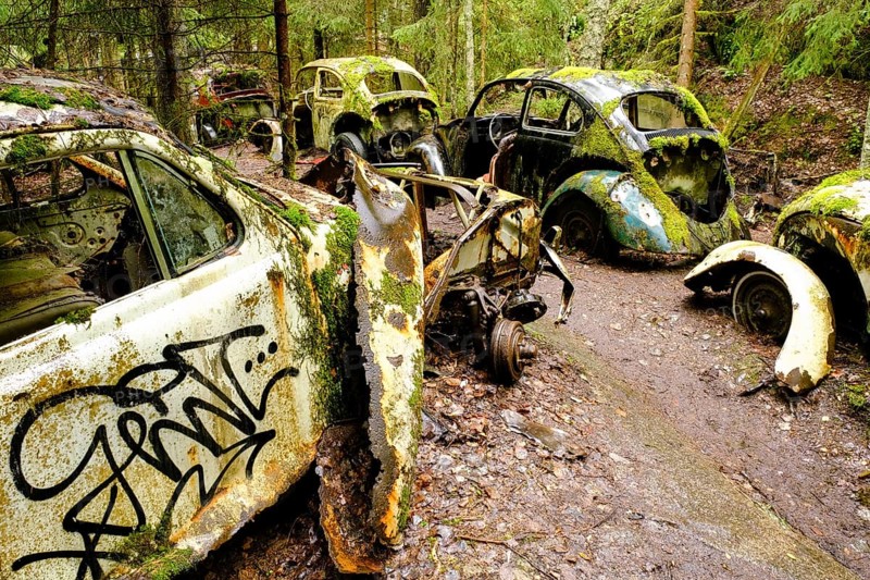 VW Beetle in a row