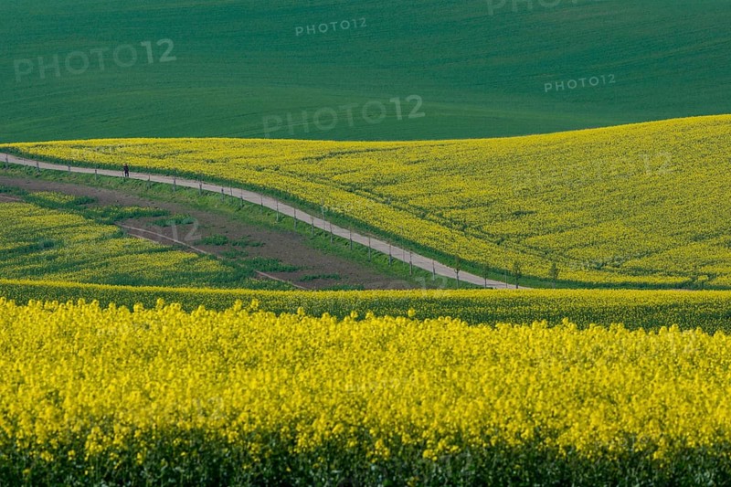Beautiful and colorful abstract landscape