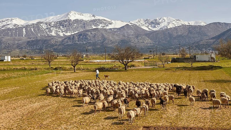 Spring in Crete