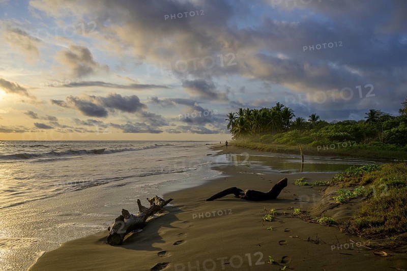 Evening atmosphere on the beach