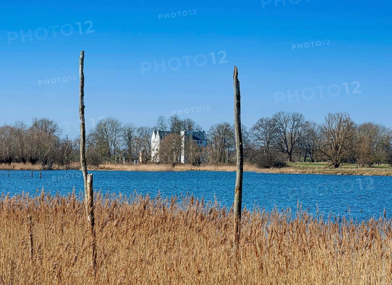 Nature reserve at the Mellnitz Ueselitzer Wiek on Ruegen