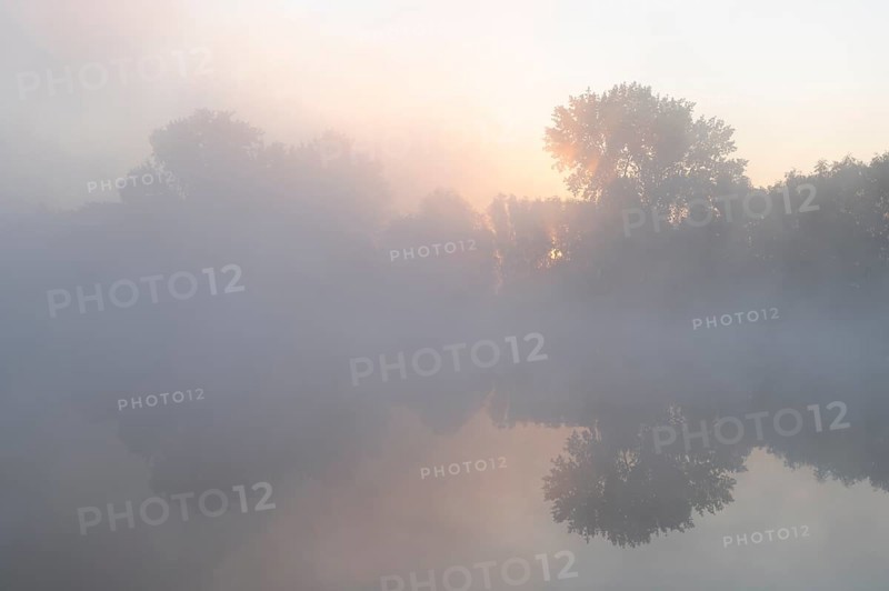 Morning fog and sunrise in the nature reserve Herbslebener Teiche