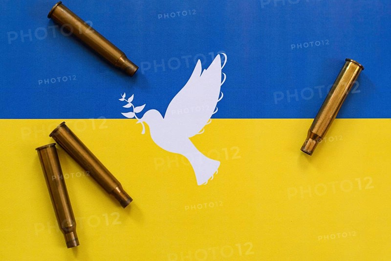 Ukrainian flag with weapon