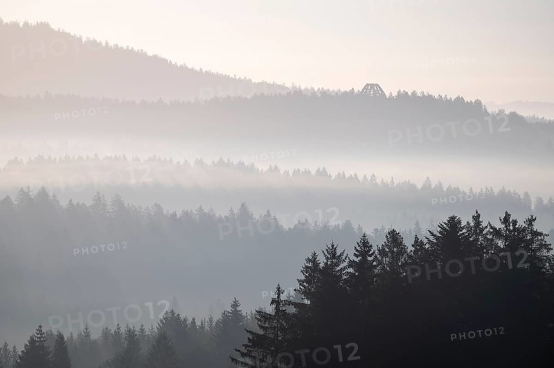 Morning mist in the Bavarian Forest