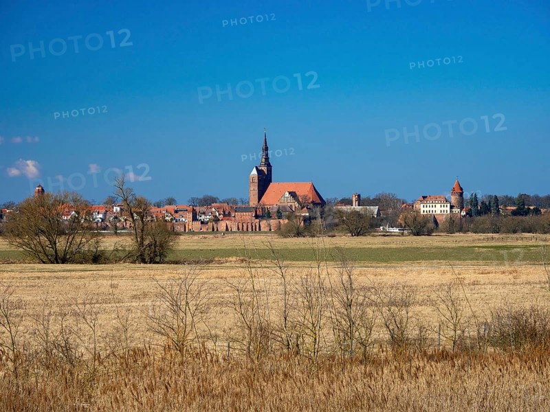 Elbe meadows near Wust-Fischbeck