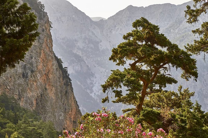Spring in Crete