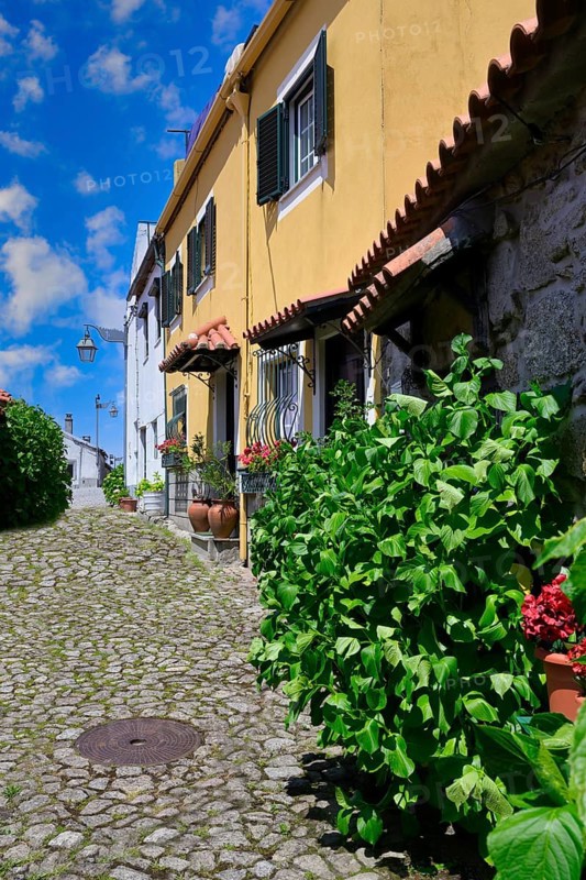 Narrow cobble street with flowers and old stone houses