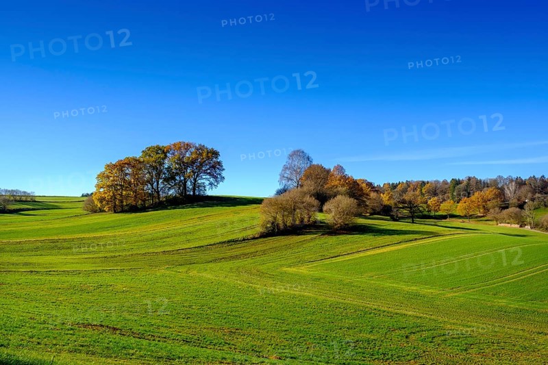 Fields and woods near Doepshofen
