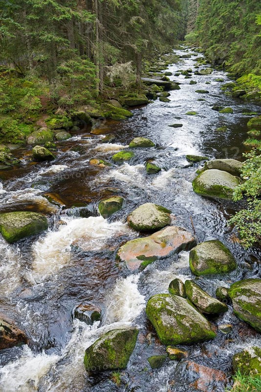 River flowing over stones