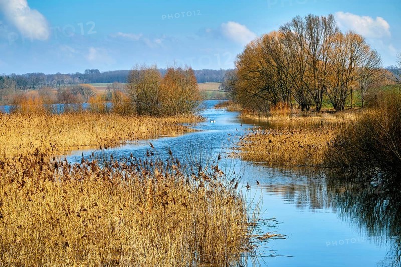 Doellnitzsee near Wermsdorf