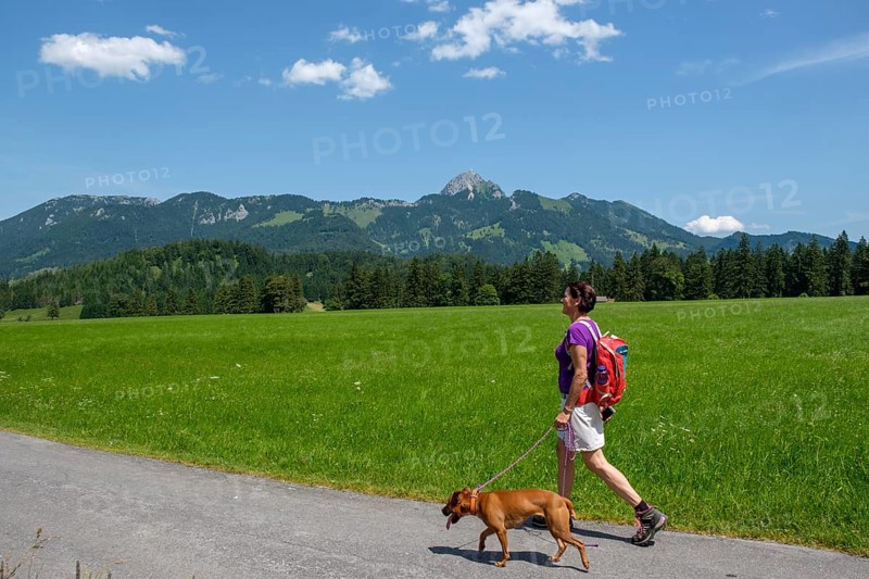 Hiker with dog at the glider airfield