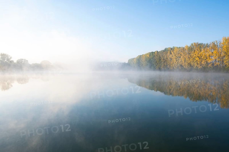 Morning fog and autumn coloured poplars