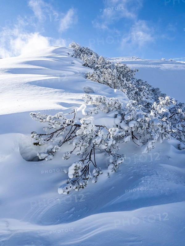 Blue sky over winter landscape
