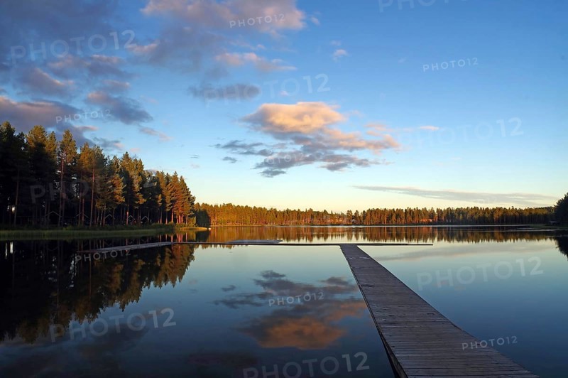 Trees reflected in the calm water of a lake