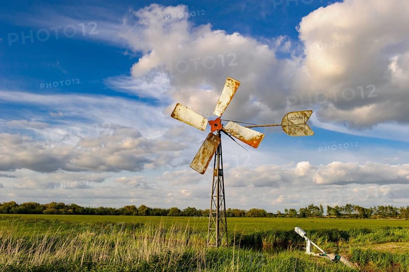 Windmill on the edge of a wet meadow in the Ochsenmoor on Lake Duemmer