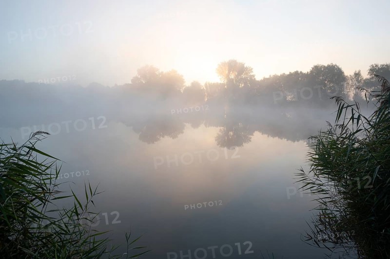 Morning fog and sunrise in the nature reserve Herbslebener Teiche