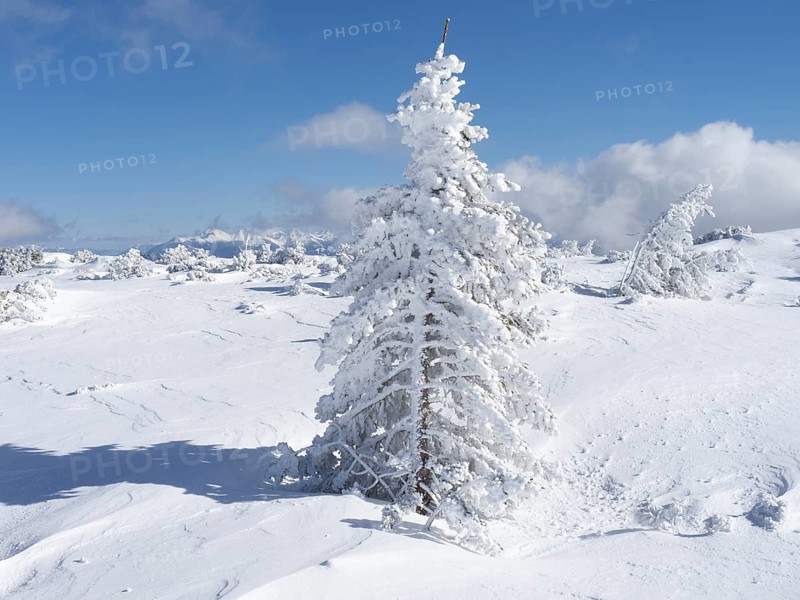 Blue sky over winter landscape