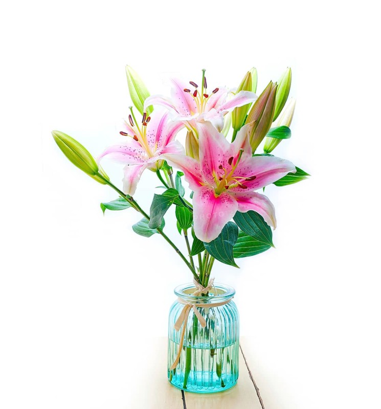Pink lily flower bunch bouquet over white copyspace