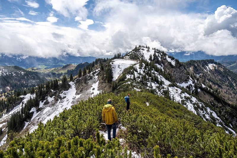 Two hikers on a hiking trail through mountain pines