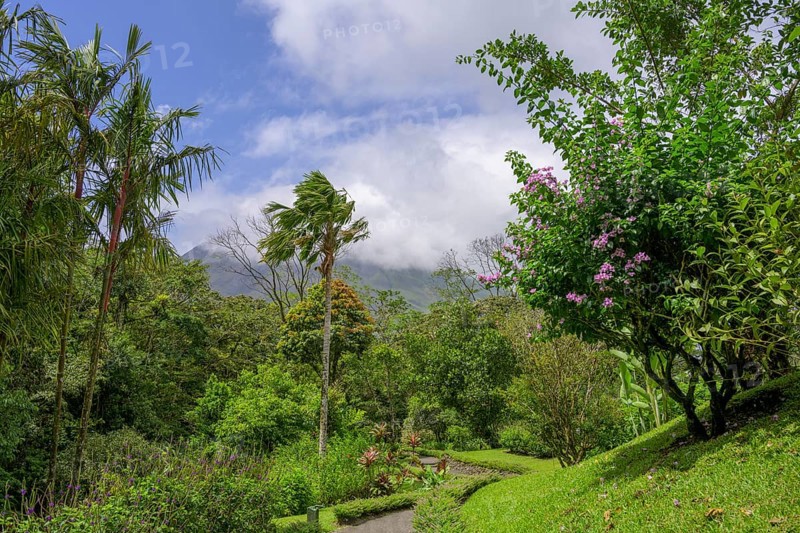 Park landscape in the HG Arenal Volcano