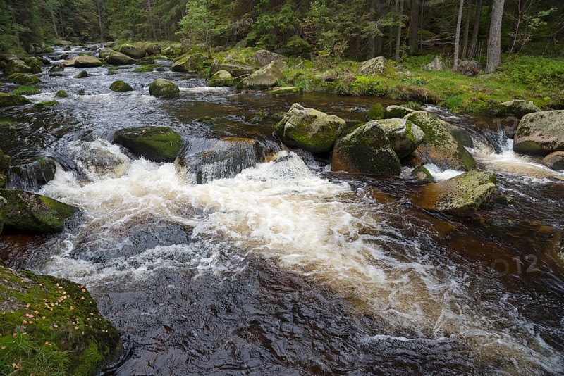 River flowing over stones