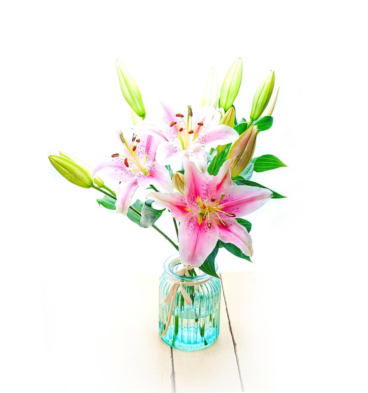 Pink lily flower bunch bouquet over white copyspace