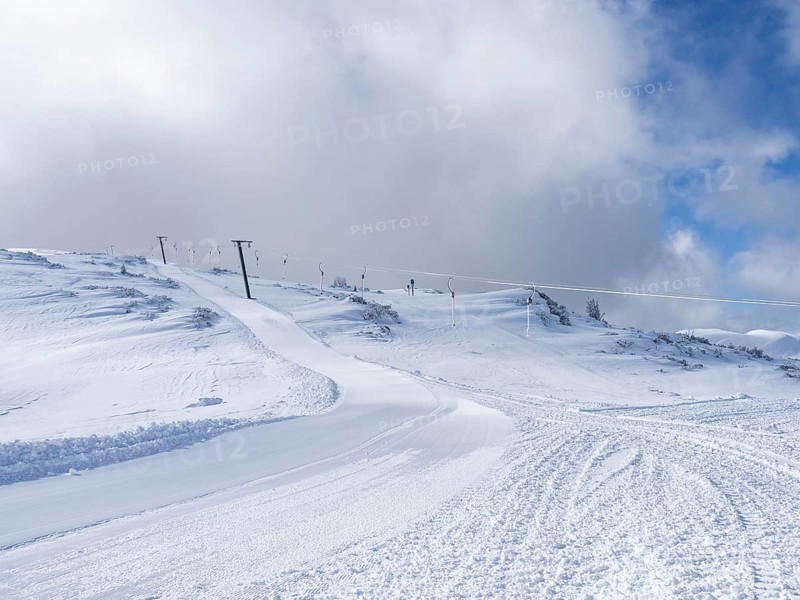 Winter landscape