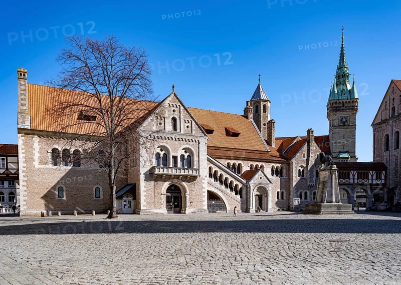 Dankwarderode Castle