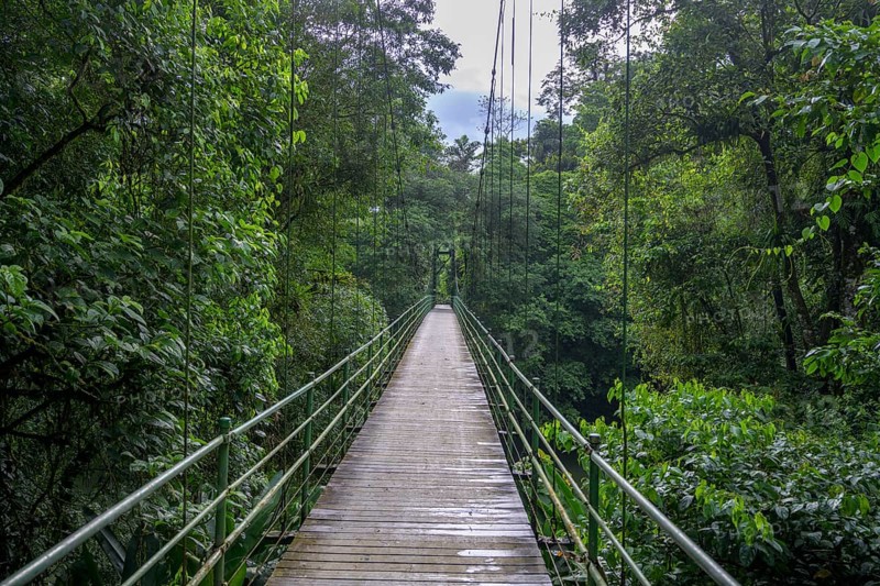 Suspension bridge over the Rio Puerto Viejo