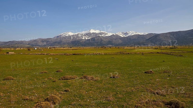 Spring in Crete