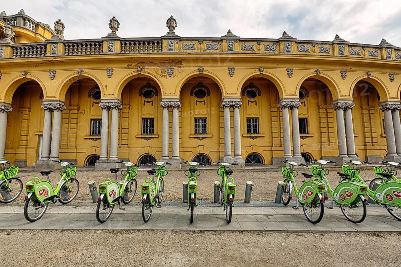 Green rental bikes