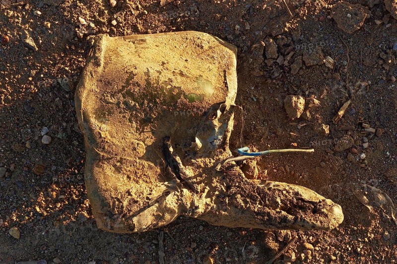 Short rubber boot on the ground