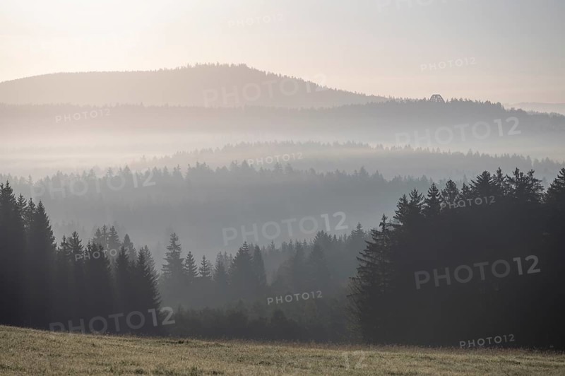 Morning mist in the Bavarian Forest