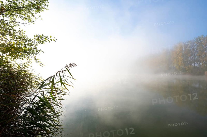 Morning fog in the Herbslebener Teiche nature reserve