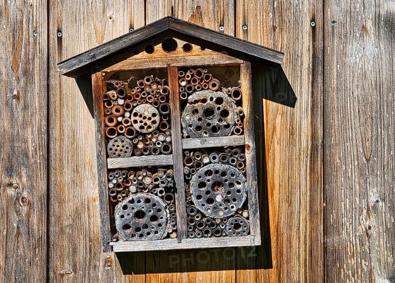 Insect hotel on wooden wall