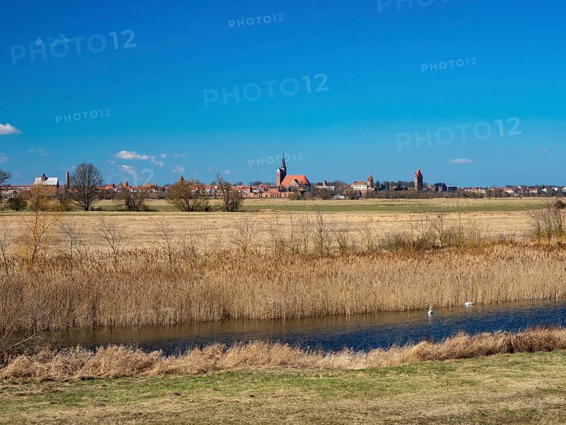Elbe meadows near Wust-Fischbeck