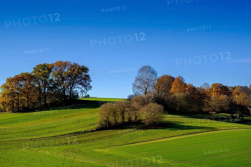 Fields and woods near Doepshofen