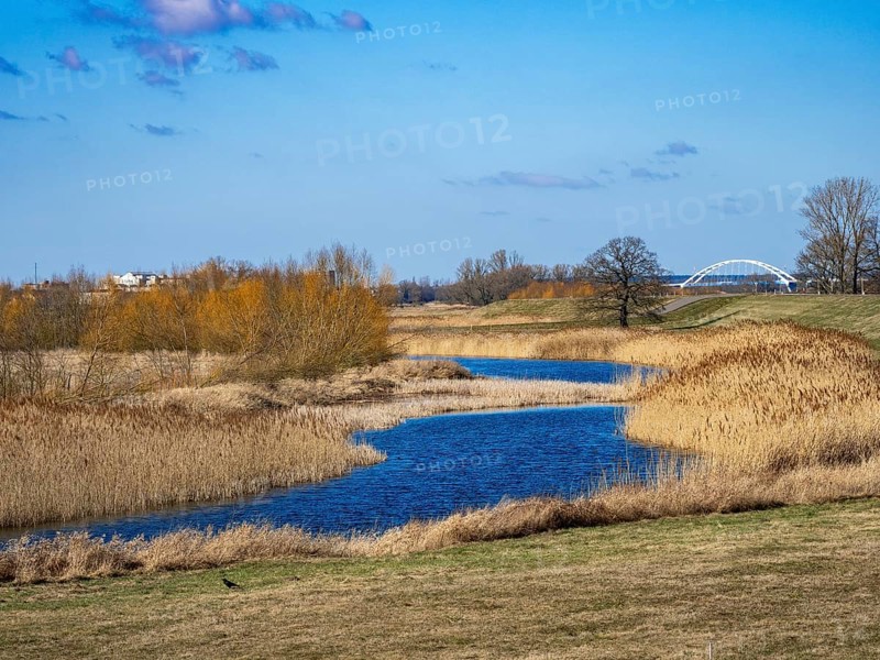 Elbe meadows