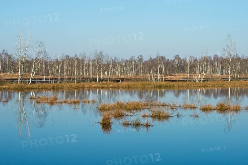 Rewetting area