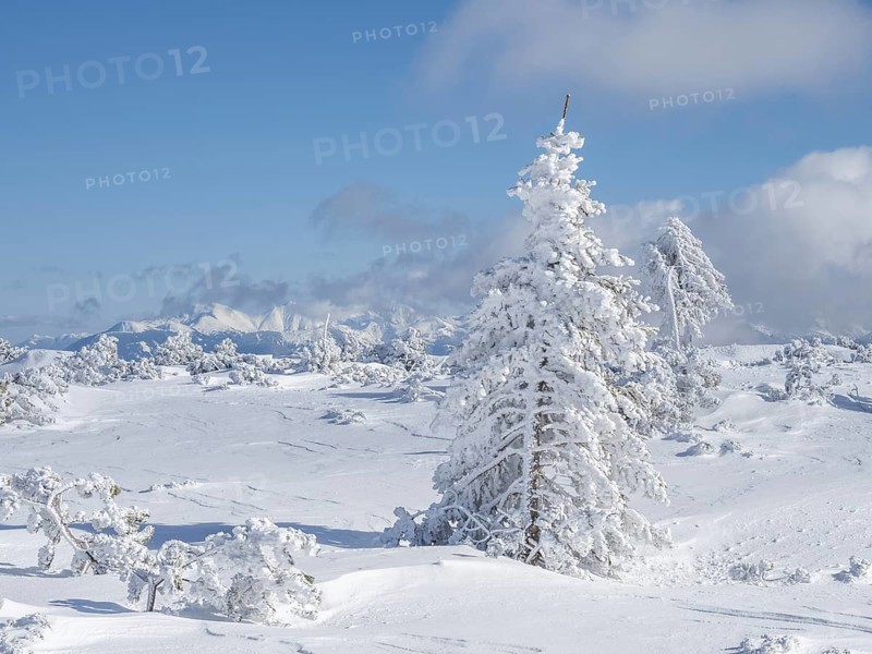 Blue sky over winter landscape