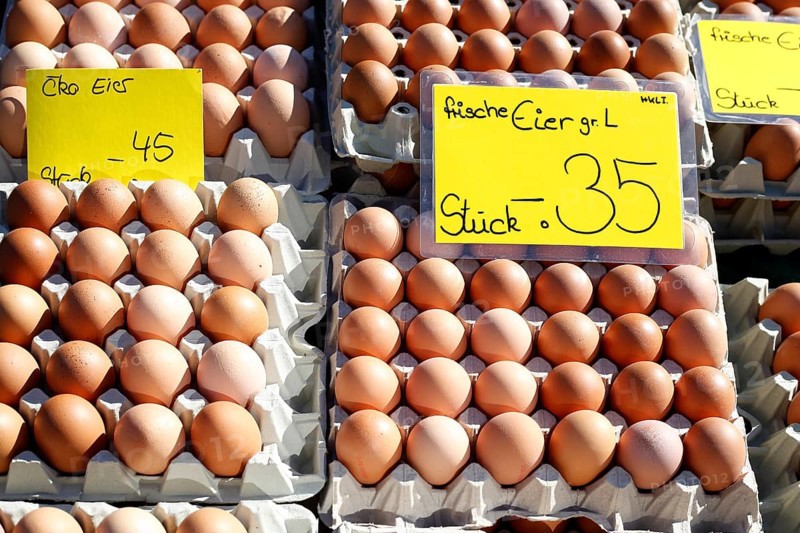 Fresh brown eggs in egg cartons with price tag at a market stall