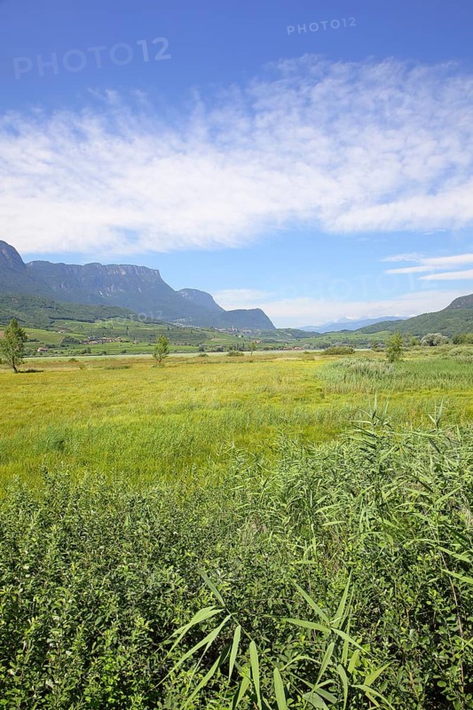 Kalterer See