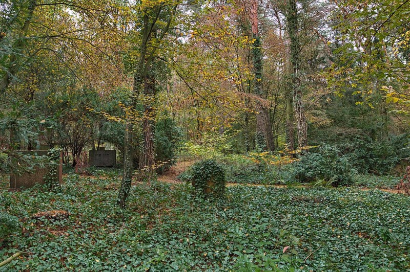 Autumn at the Wilmersdorfer Waldfriedhof in Stahnsdorf