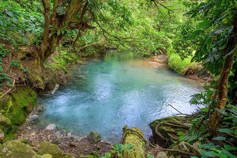 Hot spring with blue turquoise water of the Rio Celeste