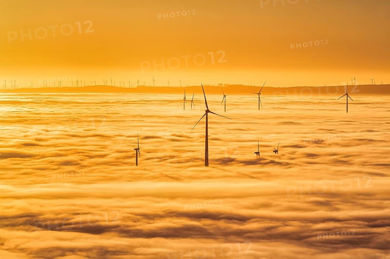 Wind turbines rising from cloud cover